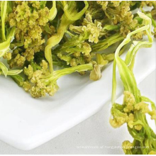 High quality dehydrated cauliflower 10*10mm